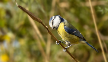 Découvrez les sorties nature en juin !