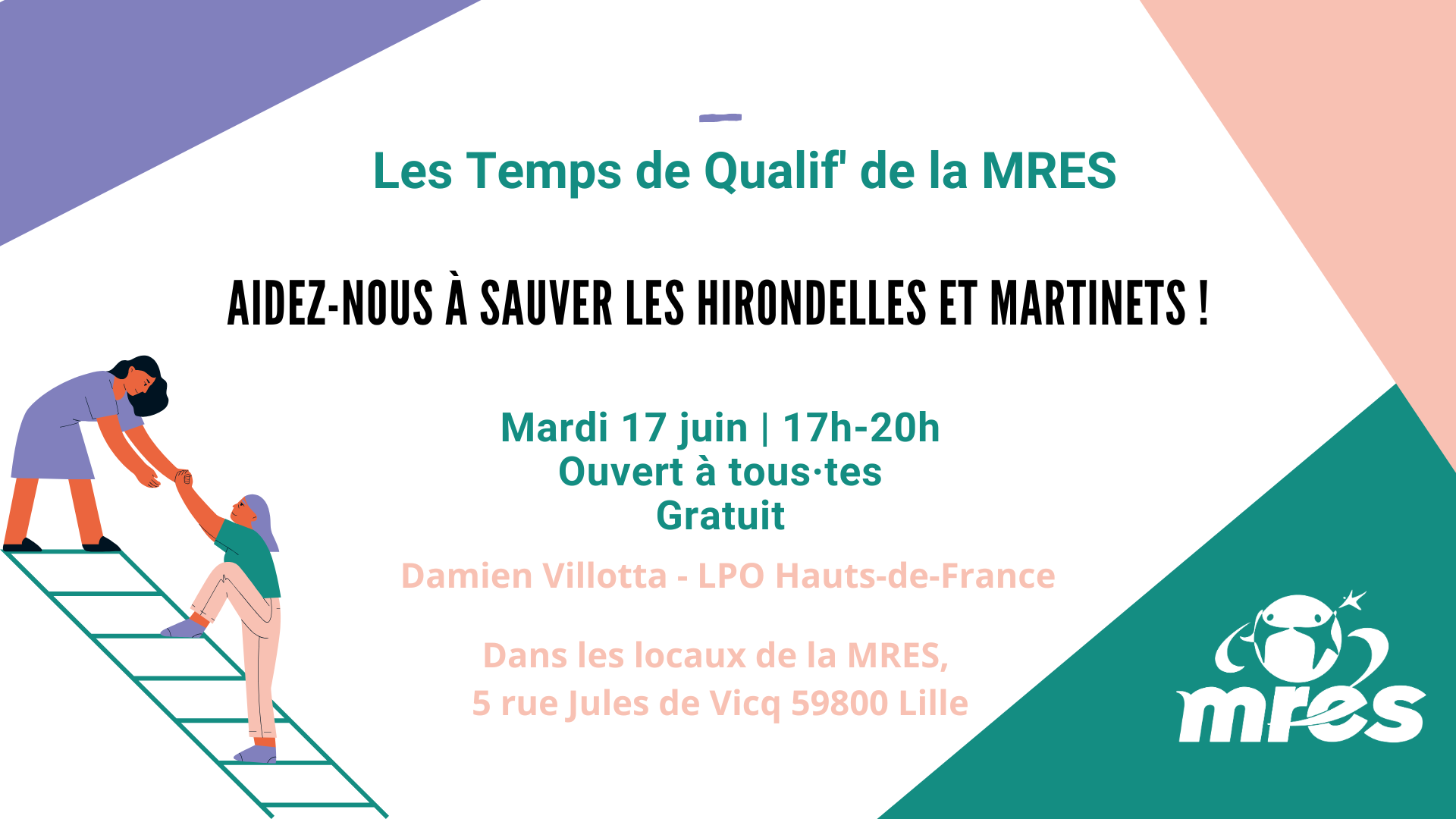 Aidez-nous à sauver les Hirondelles et Martinets