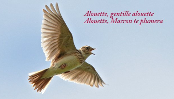L'Éphéméride de la Biodiversité - Ligue pour la protection des oiseaux  Limousin